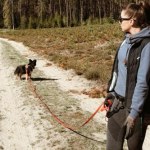 Te rzeczy mogą przydać się na spacerze z psem. Zajrzyj do sklepu budowlanego