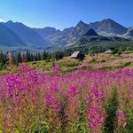 Te szlaki w Tatrach pokonasz bez wysiłku. Są idealne dla dzieci oraz seniorów