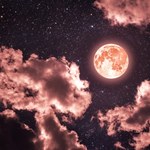 Te trzy znaki zodiaku w czasie pełni różowego Księżyca poczują moc ważnych decyzji