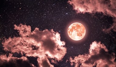 Te trzy znaki zodiaku w czasie pełni różowego Księżyca poczują moc ważnych decyzji