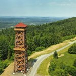 Tę wieżę w koronach drzew odwiedzisz za darmo. Wspaniałe widoki gwarantowane