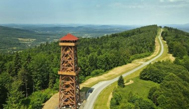 Tę wieżę w koronach drzew odwiedzisz za darmo. Wspaniałe widoki gwarantowane