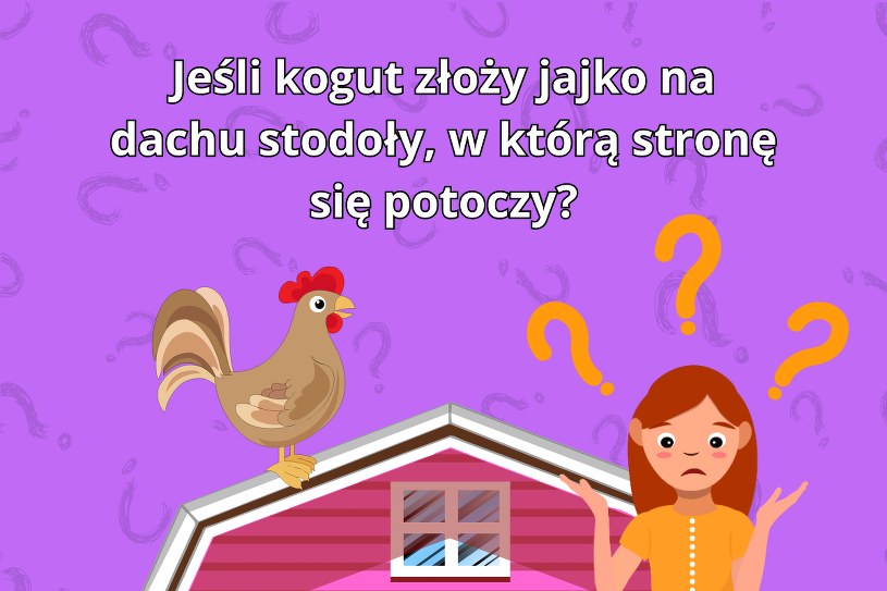 Tę zagadkę rozwiąże tylko prawdziwy geniusz. 95% osób podaje błędną odpowiedź