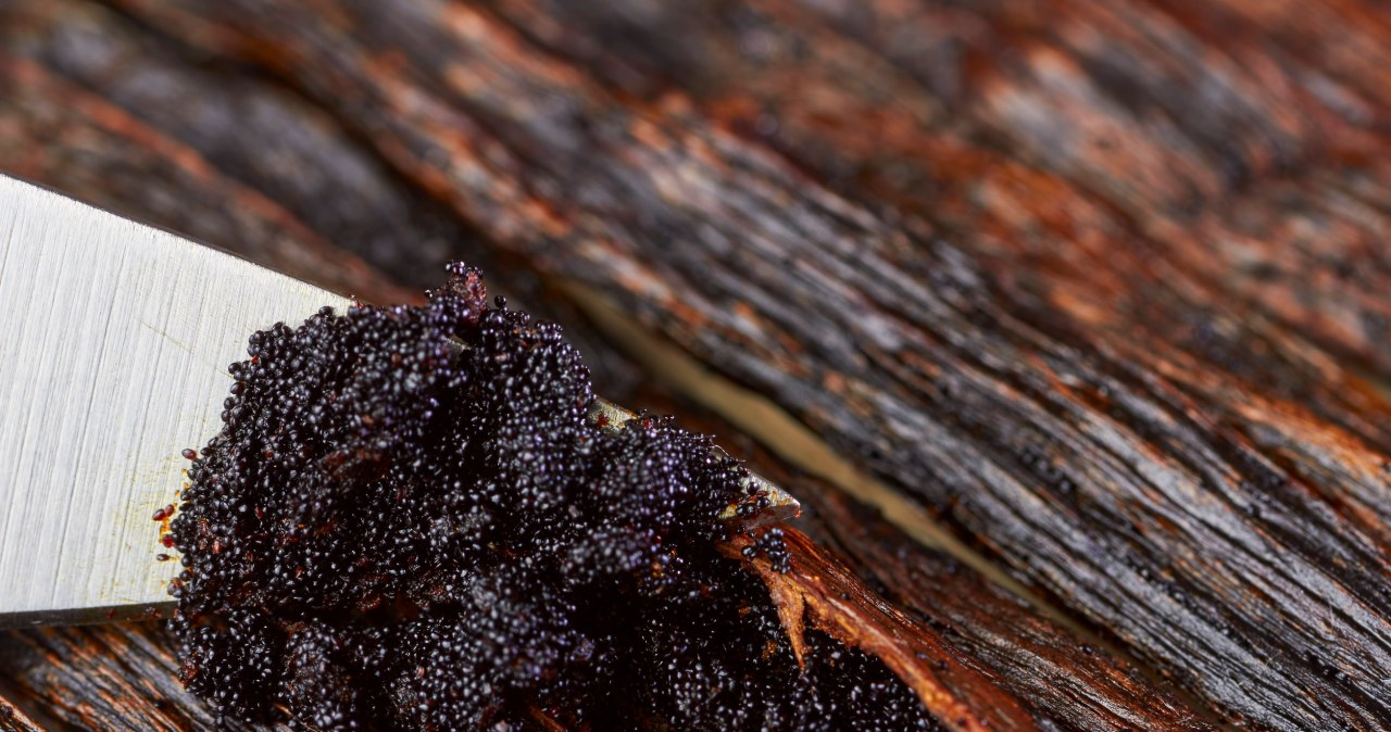 Te ziarenka nie tylko zmieniają smak, ale dodają prozdrowotnych właściwości potrawom. /acnaleksy /123RF/PICSEL