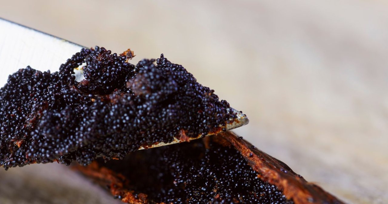 Te ziarenka nie tylko zmieniają smak, ale dodają prozdrowotnych właściwości potrawom. /Acnakelsy /Canva Pro