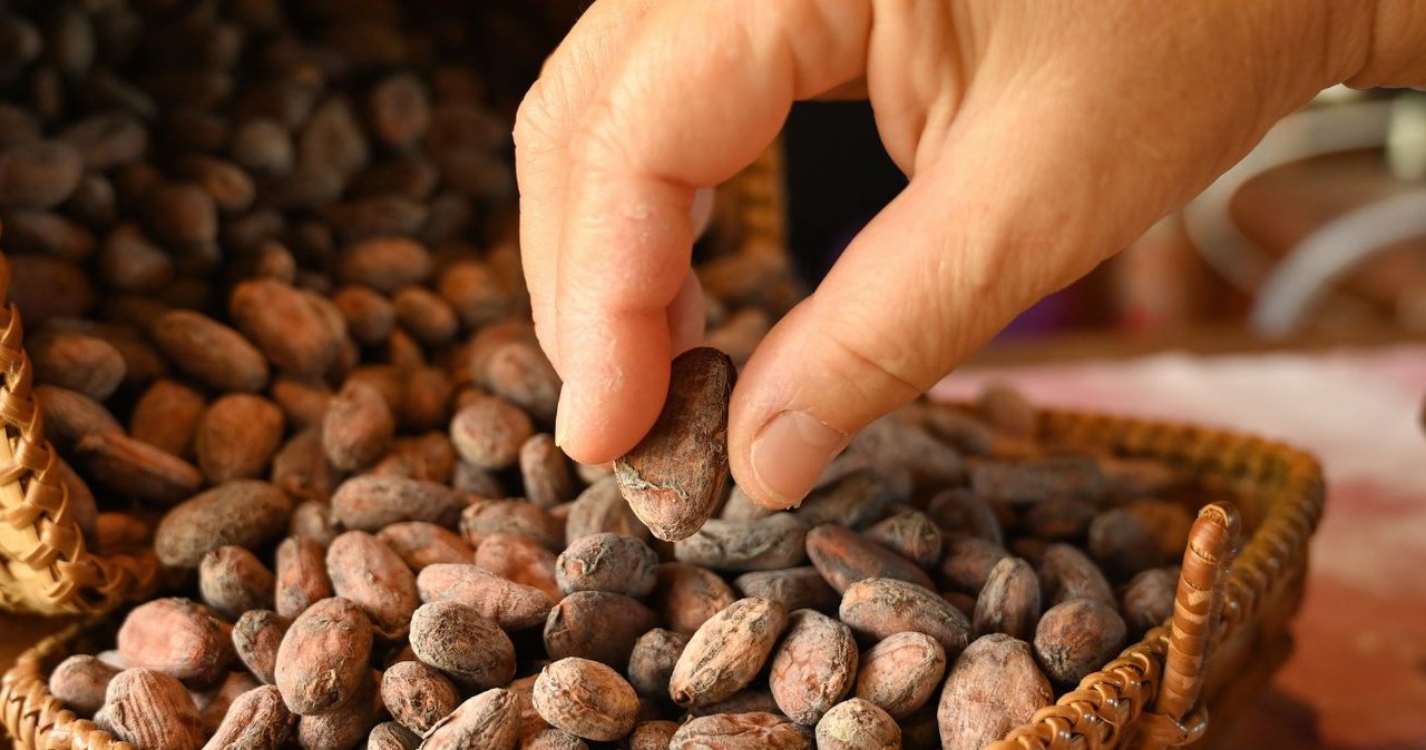 Te ziarna to kopalnia składników prozdrowotnych. /Pranithan Images /Canva Pro