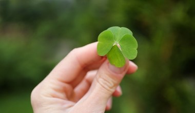 Te znaki zodiaku będę mieć szczęście w weekend. Los będzie dla nich szczególnie hojny