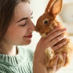 Te zwierzęta zmniejszają ryzyko zawału i udaru. Warto mieć je w domu