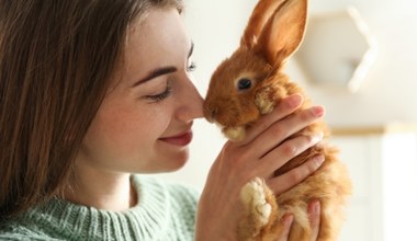 Te zwierzęta zmniejszają ryzyko zawału i udaru. Warto mieć je w domu