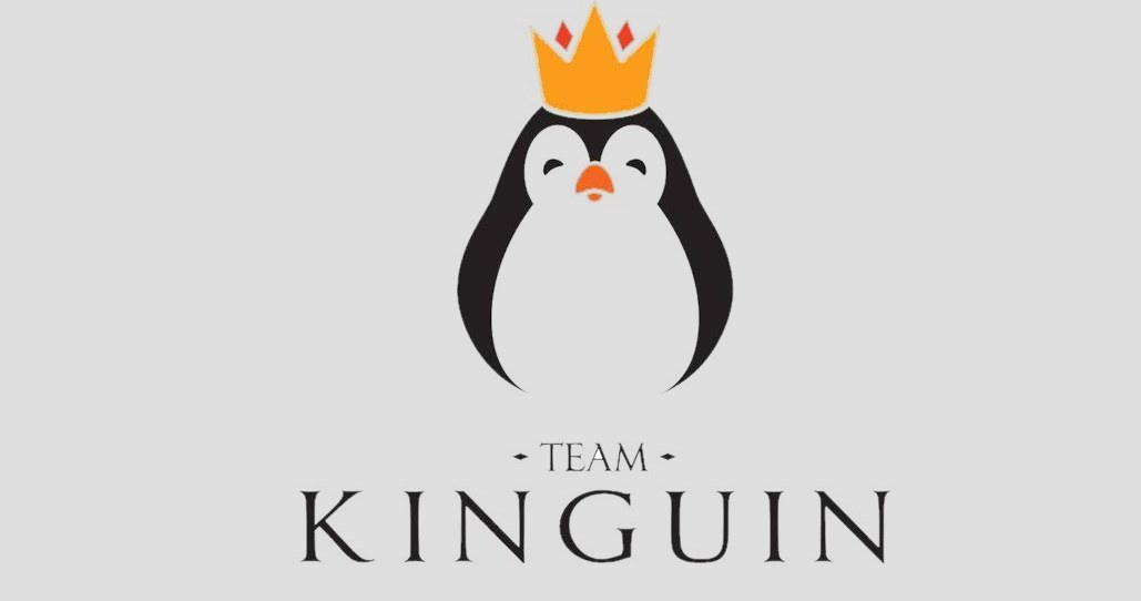 Team Kinguin - logo zespołu /materiały prasowe