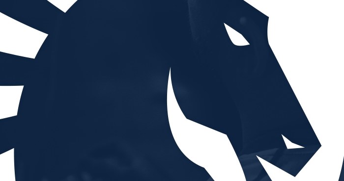 Team Liquid - logo zespołu /materiały prasowe