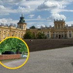 Techno przed pałacem w Wilanowie. Eksperci o wpływie koncertu na przyrodę