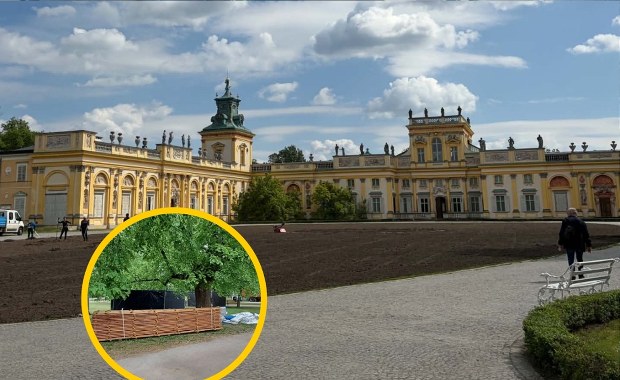 Techno przed pałacem w Wilanowie. Eksperci o wpływie koncertu na przyrodę