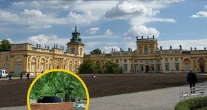 Techno przed pałacem w Wilanowie. Eksperci o wpływie koncertu na przyrodę