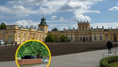 Techno przed pałacem w Wilanowie. Eksperci o wpływie koncertu na przyrodę