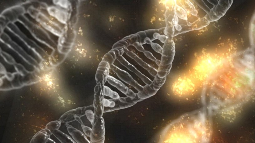 Technologia CRISPR pomoże w walce z koronawirusem i innymi groźnymi wirusami /Geekweek