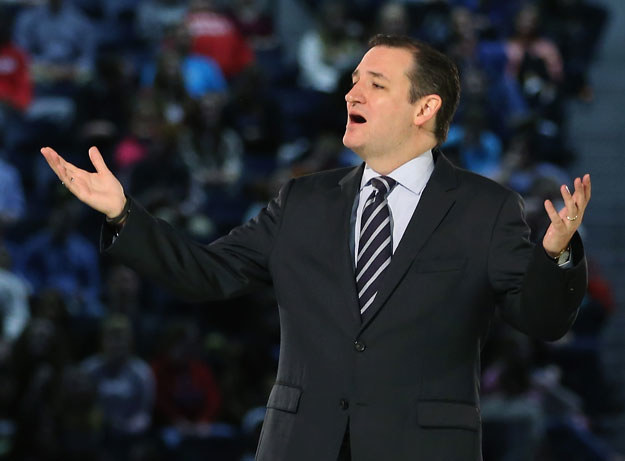 Ted Cruz, syn Kubańczyka i Amerykanki, jako potomek obywatelki USA ma prawo ubiegać się o prezydenturę fot. Mark Wilson /AFP