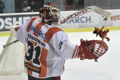 Teddy Bear Toss na Cracovii: Pluszowe misie zasypały lodowisko!