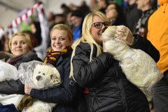 Teddy Bear Toss na Cracovii: Pluszowe misie zasypały lodowisko!