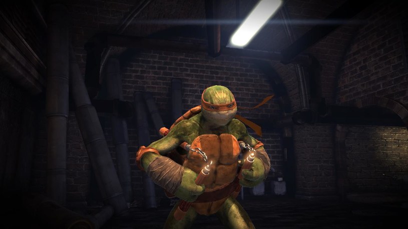 Teenage Mutant Ninja Turtles /materiały prasowe