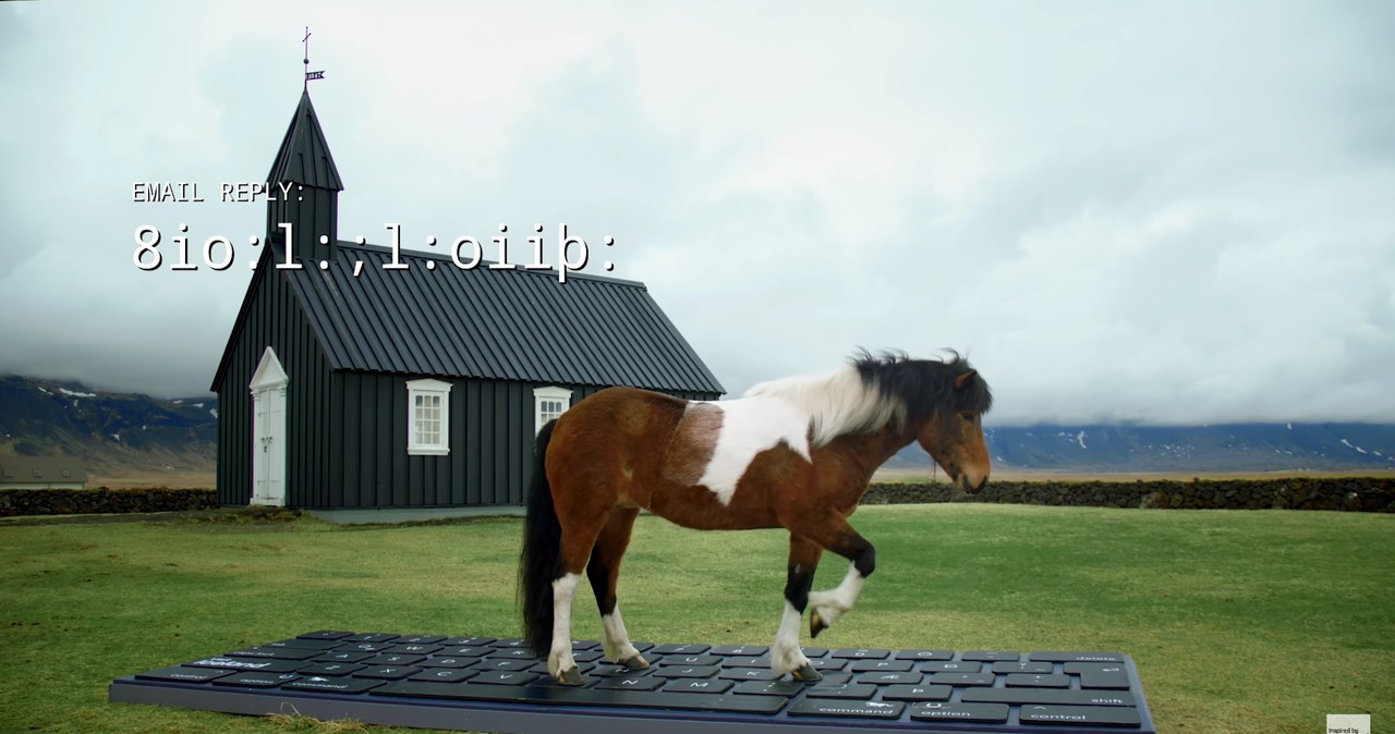 Tego jeszcze nie było... islandzkie konie będą odpowiadać na nasze służbowe e-maile /Zrzut ekranu/OutHorse Your Email to Iceland’s Horses /YouTube