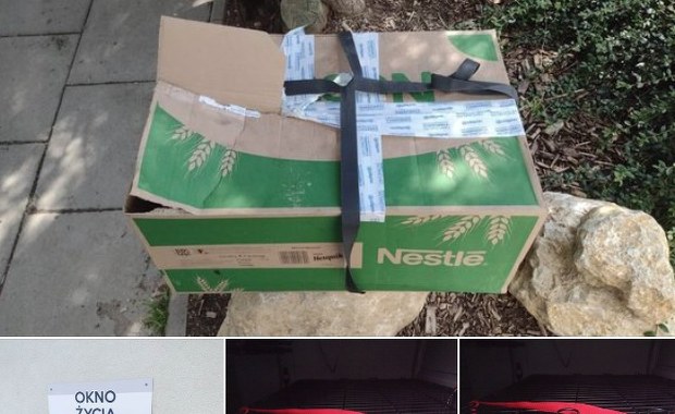 "Tego jeszcze nie było". Ktoś zostawił kocięta w oknie życia dla dzieci