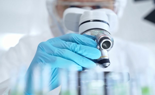 Tego jeszcze nie było. Polacy odkryli robaki z dwiema głowami