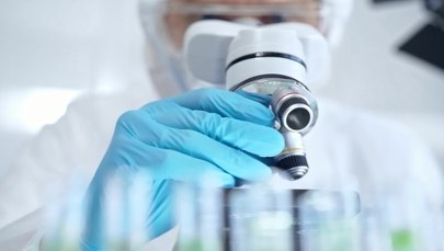 Tego jeszcze nie było. Polacy odkryli robaki z dwiema głowami