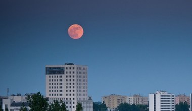 Tego nie możesz przegapić. Prawdziwa gratka dla fanów astronomii