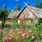 Tego nie nauczą cię w szkole. Wyjątkowa osada nad jeziorem Gołuń