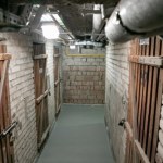 Tego nie wolno trzymać w piwnicy. Mandaty są ogromne