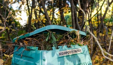 Tego nie wrzucaj do kompostownika. Może zaszkodzić roślinom