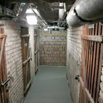 Tego pod żadnym pozorem nie trzymaj w piwnicy. Narazisz się na słony mandat