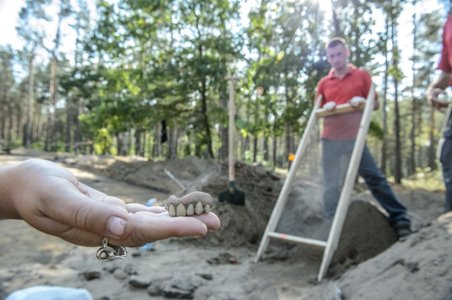 Tegoroczne badania archeologiczne są pierwszym etapem inwestycji związanej z budową nowego muzeum i innego zagospodarowania miejsca pamięci w Sobiborze /Wojciech Pacewicz /PAP