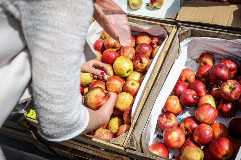 Tegoroczne plony jabłek będą na poziomie 4 mln ton /KAROLINA MISZTAL/REPORTER /East News