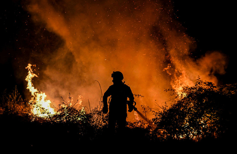 Tegoroczne pożary w Portugalii /PATRICIA DE MELO MOREIRA / AFP /East News