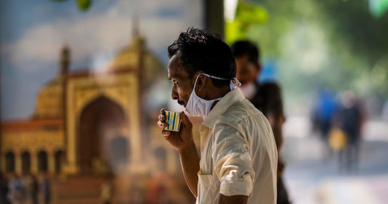 Tegoroczne zbiory herbaty w Indiach są zagrożone przez Covid-19 i suszę /AFP