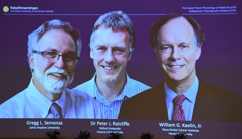 Tegoroczni laureaci Nagrody Nobla w dziedzinie fizjologii i medycyny /AFP