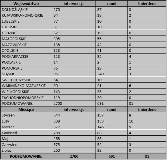 Tegoroczny bilans PSP dot. interwencji związanych z emisją tlenku węgla /RMF24