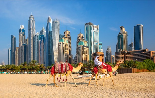 Tegoroczny szczyt klimatyczny odbędzie się w Dubaju, największym mieście Zjednoczonych Emiratów Arabskich. /Shutterstock