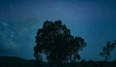 Tej nocy spójrz w niebo. Spadające gwiazdy wkrótce nad Polską