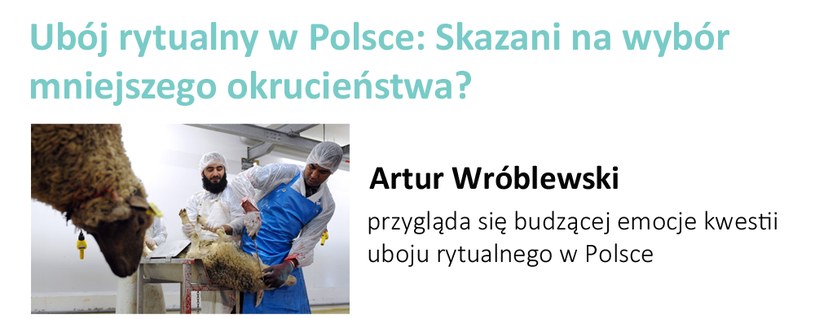 Tekst został opublikowany 1 kwietnia 2016 roku w serwisie Fakty /