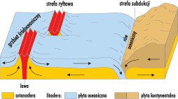 Tektonika płyt litosfery /Encyklopedia Internautica