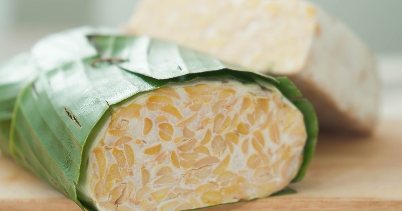 Tempeh to indonezyjski przysmak. Z czego powstaje? Jak smakuje? Jakie ma właściwości? Odpowiadamy poniżej /123RF/PICSEL