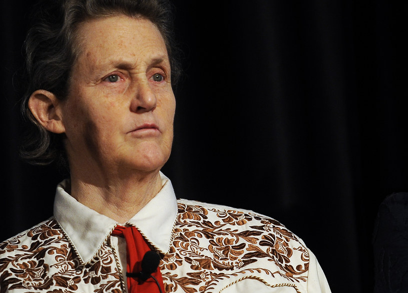 Temple Grandin /Photo By RJ Sangosti/The Denver Post  /Getty Images
