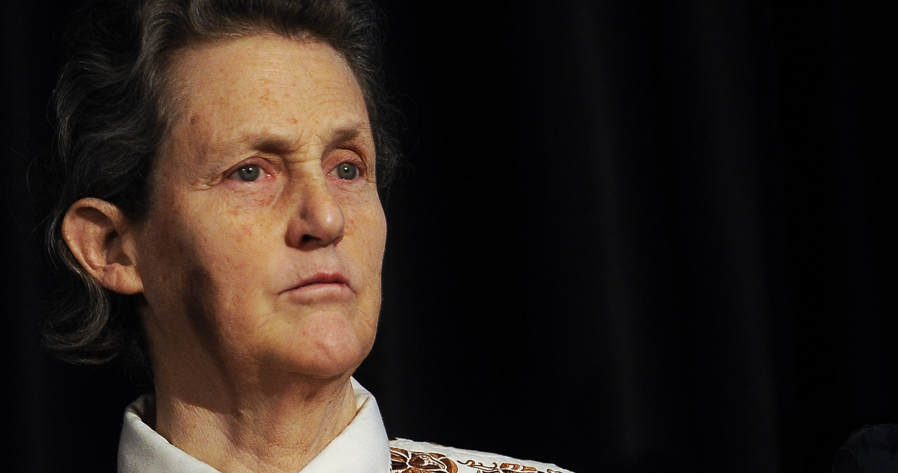 Temple Grandin /Photo By RJ Sangosti/The Denver Post  /Getty Images