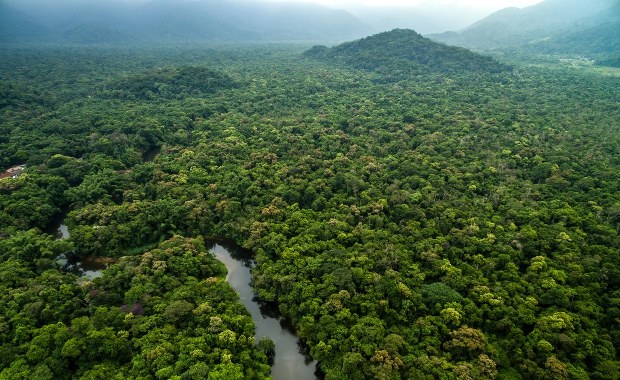 Tempo wylesiania Puszczy Amazońskiej niższe niż w poprzednim roku