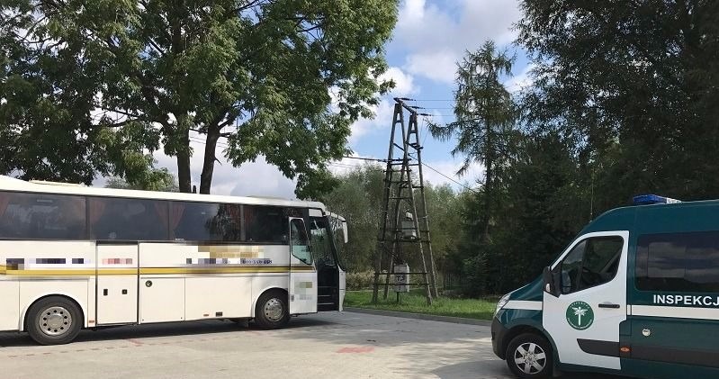 Ten autokar nie miał prawa poruszać się po drogach /ITD