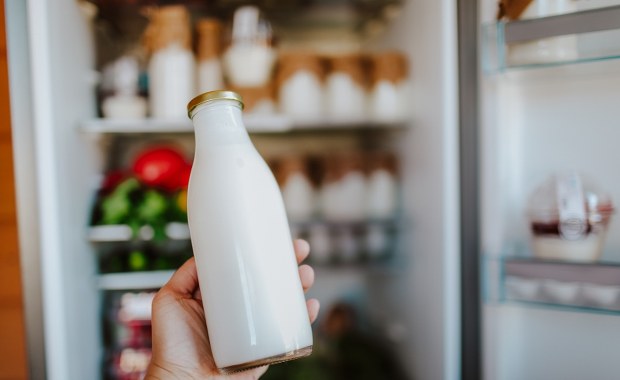 Ten błąd popełnia większość z nas. Oto, gdzie naprawdę powinno stać mleko w lodówce!