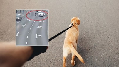 Ten film musi zobaczyć każdy właściciel psa. Chwila nieuwagi mogła skończyć się dramatem